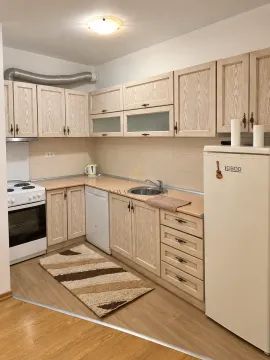 Rent, one bedroom apartment, 50m², Dalmatinska ulica, Podgorica - image 3