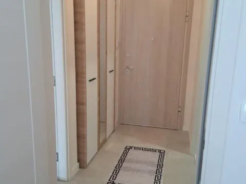 Izdavanje, jednosoban stan, 46m², Central Point, Podgorica - image 4