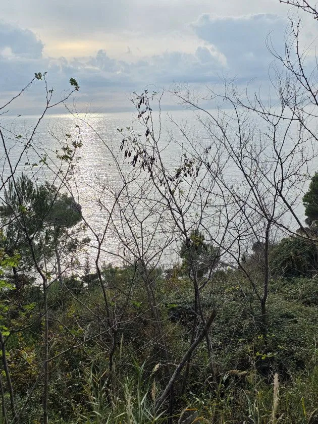 Sale, land lot, 804m², Šušanj, Bar