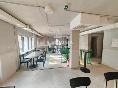 Izdavanje, poslovni prostor, 320m², Đeram Pijaca, Beograd - image 8