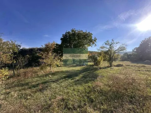 Pogled na prostrano travnato dvorište sa drvećem i rastinjem. - image 8
