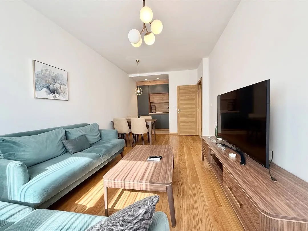 Rent, one bedroom apartment, 45m², New City, Podgorica