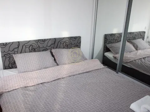 Rent, two bedroom apartment, 41m², Lion, Zvezdara Sve Podlokacije - image 13