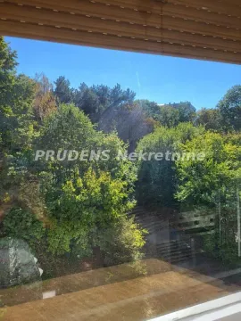 Pogled kroz prozor na zelene površine i drveće. - image 13