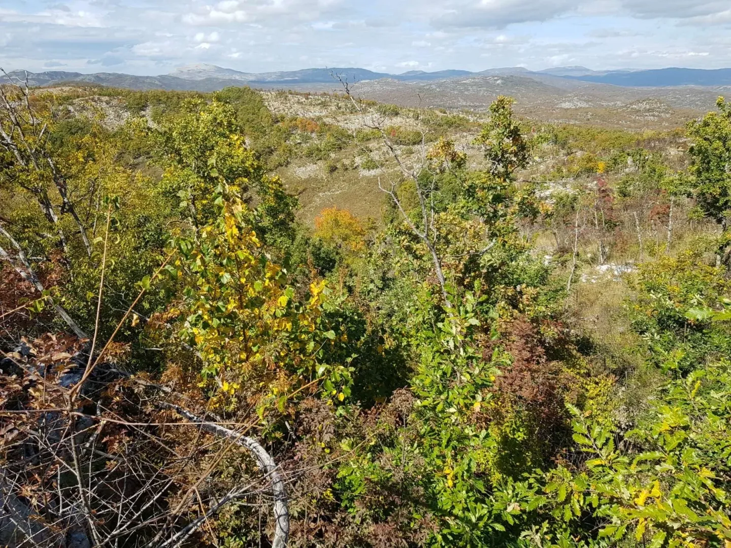 Prodaja, plac, 529422m², Vilusi, Nikšić