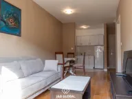 Izdavanje, jednosoban stan, 40m², Central Point, Podgorica - image 6