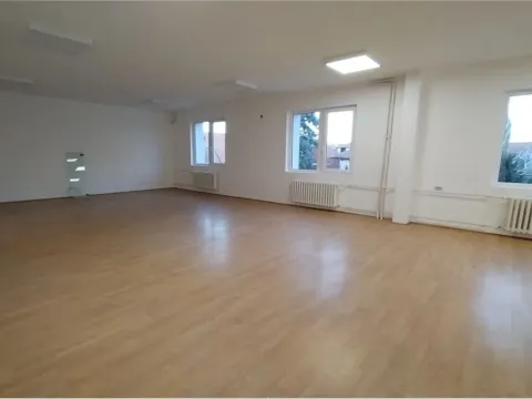 Izdavanje, poslovni prostor, 886m², Apelovac, Niš - image 18