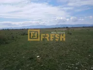 Prodaja, plac, 130000m², Zeta, Podgorica - image 3