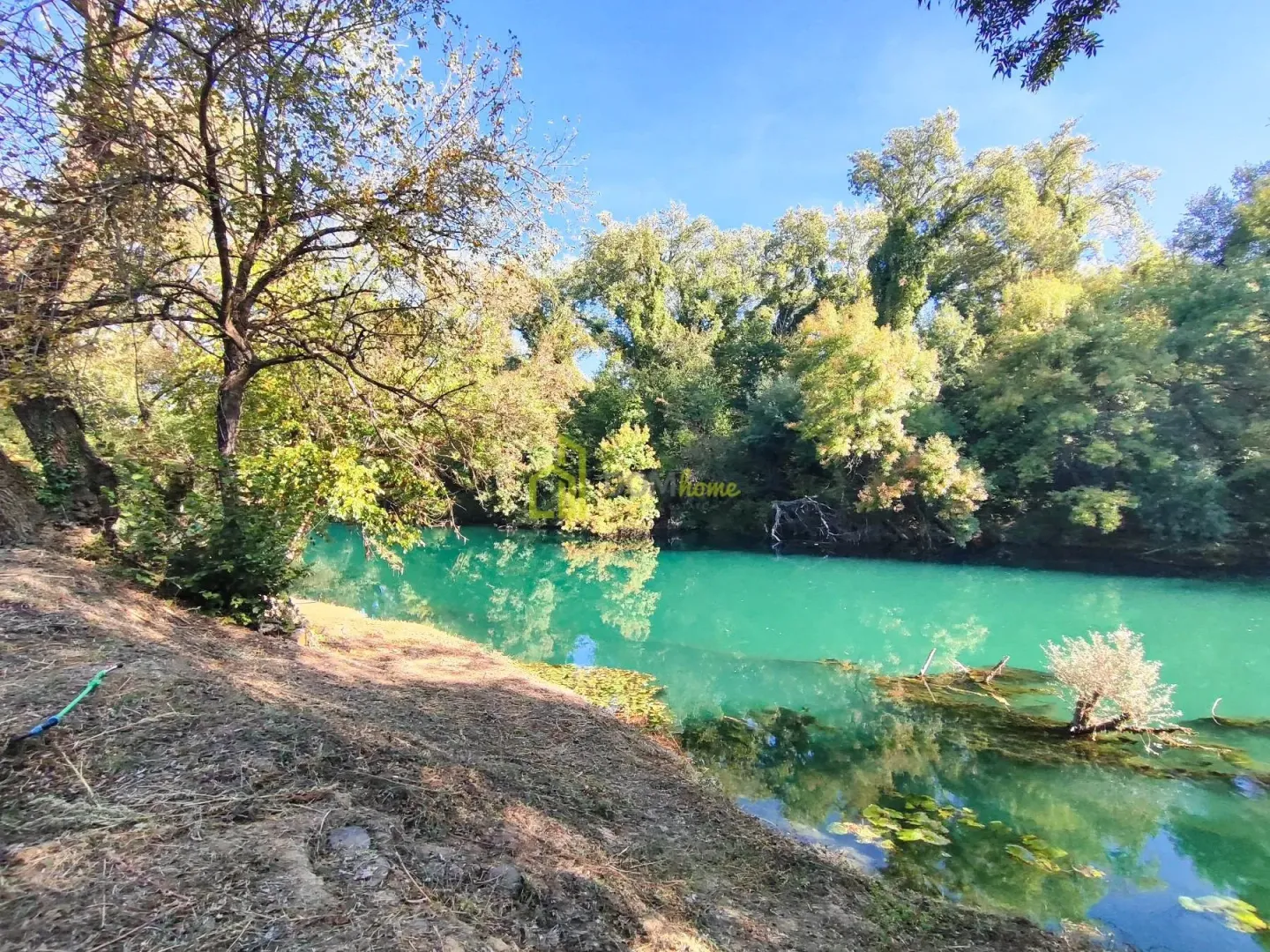 Natural surroundings with a river and trees near the property.