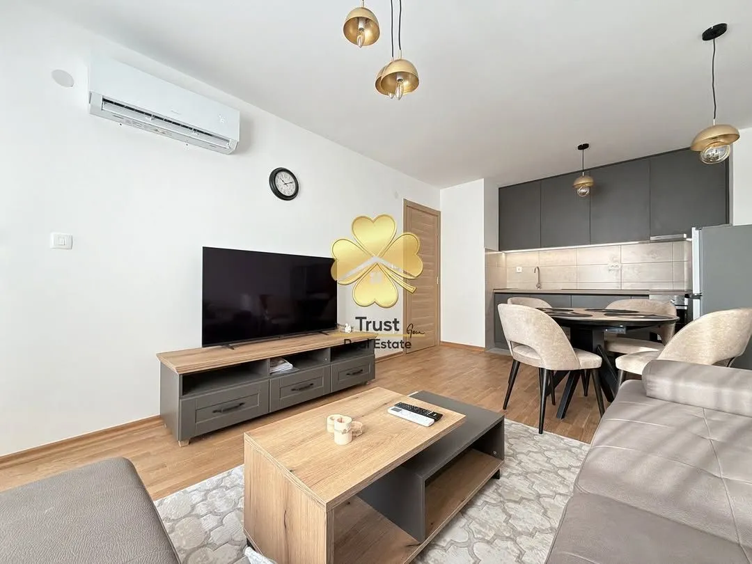 Izdavanje, jednosoban stan, 45m², Stari Aerodrom, Podgorica