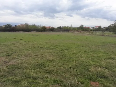 Zemljište in Farmaci