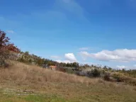 Prodaja, plac, 529000m², Grahovac, Nikšić - image 7