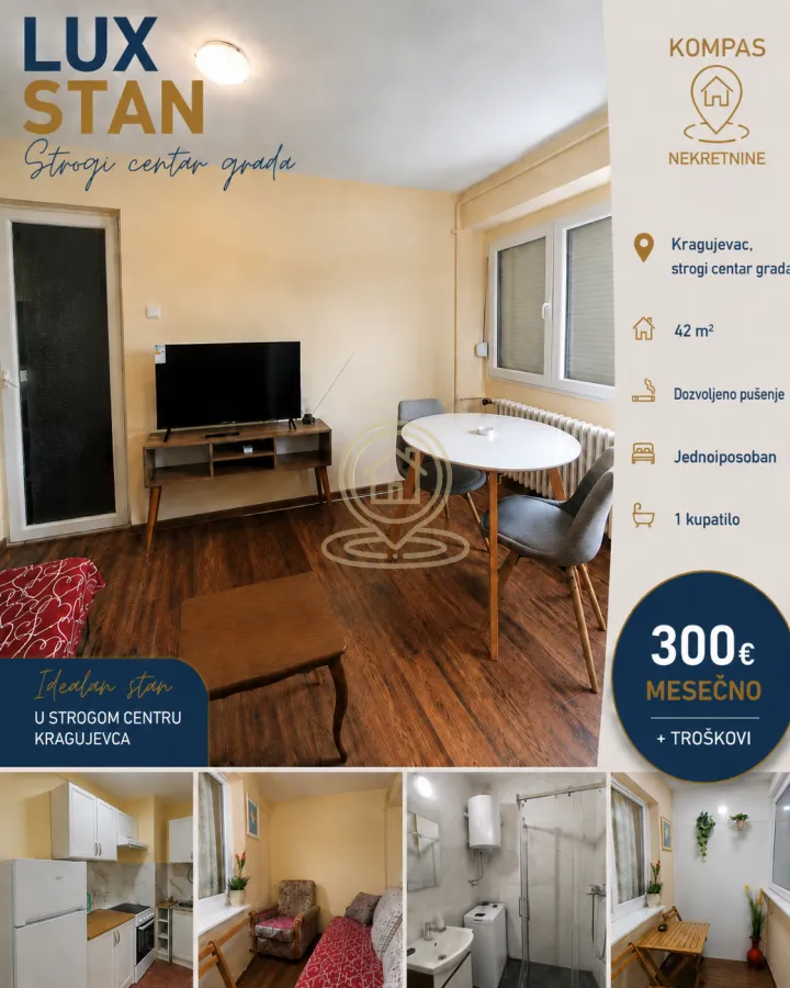 Izdavanje, jednosoban stan, 42m², Centar, Kragujevac