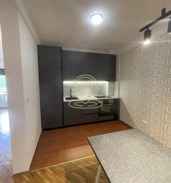 Izdavanje, dvosoban stan, 60m², Zemun Sve Podlokacije, Beograd