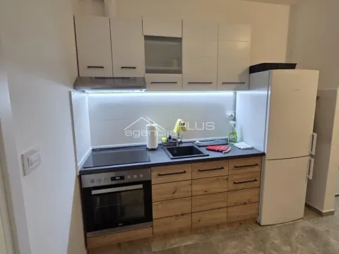 Rent, one bedroom apartment, 37m², Cvetanova Ćuprija, Zvezdara Sve Podlokacije - image 2