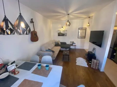Dnevna soba sa trpezarijom i modernim osvjetljenjem. - image 3