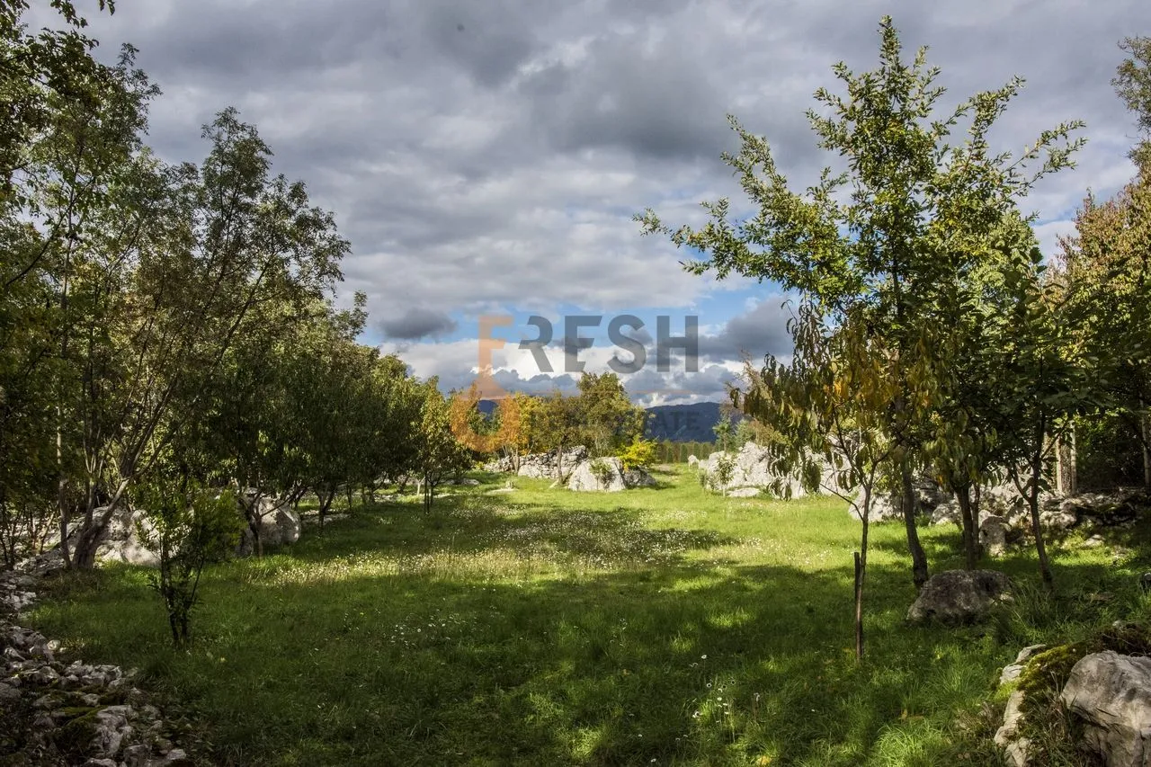 Prodaja, plac, 36246m², Danilovgrad, Crna Gora
