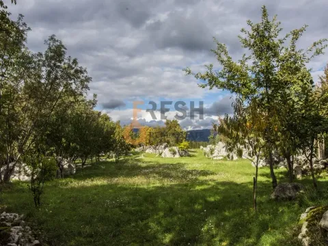 Prodaja, plac, 36246m², Danilovgrad, Crna Gora - image 15