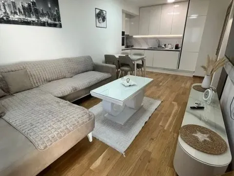 Rent, one bedroom apartment, 47m², New City, Podgorica - image 2