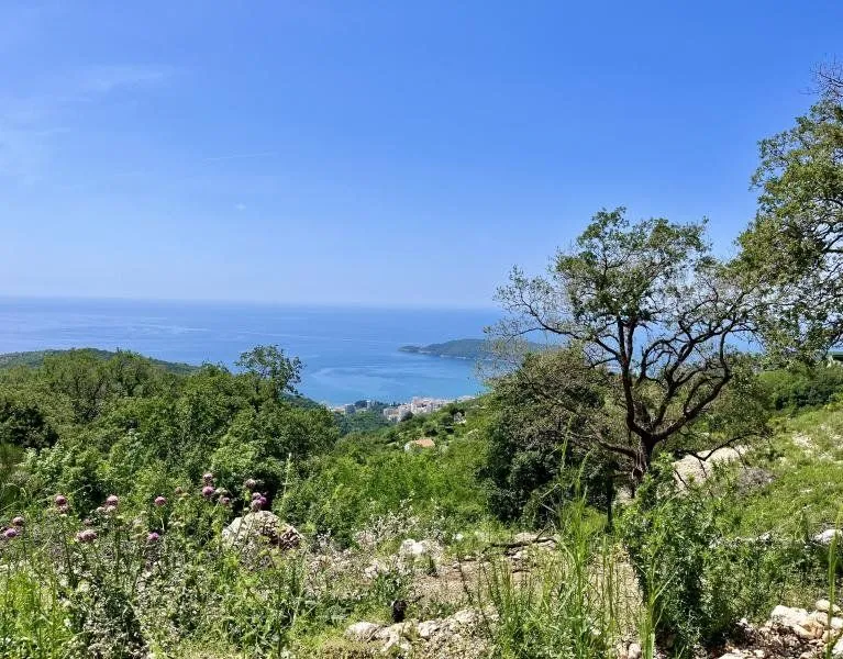 Prodaja, plac, 2200m², Stanišići, Budva