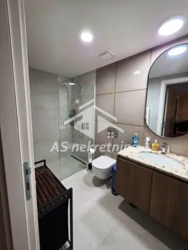 Modernly equipped bathroom with a walk-in shower, washbasin, and toilet. - image 16