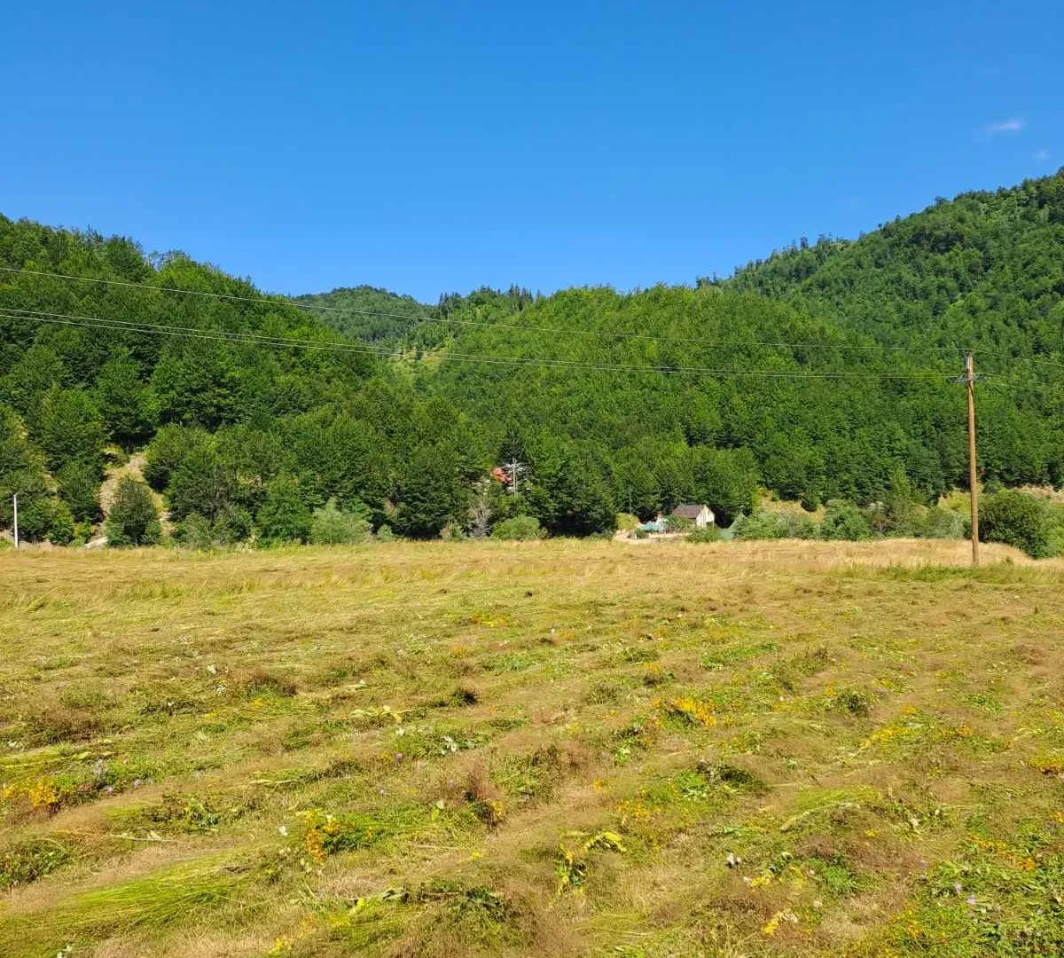 Prodaja, plac, 7000m², Veruša, Podgorica