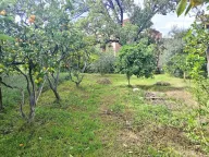 Prodaja, kuća, 270m², Polje, Bar - image 8