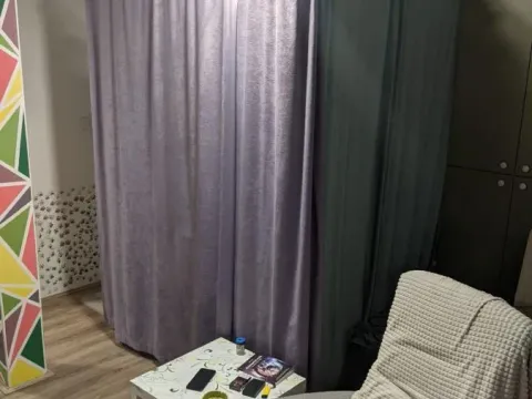 Prodaja, garsonjera, 27m², Veternik, Novi Sad Sve Podlokacije - image 2