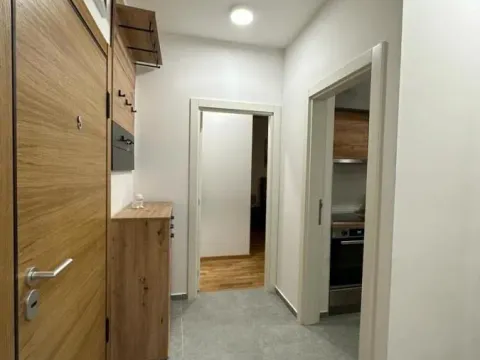 Izdavanje, dvosoban stan, 48m², Bulevar Evrope, Novi Sad Sve Podlokacije - image 13