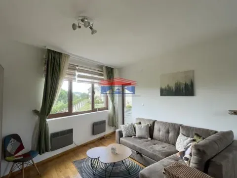 Sale, one bedroom apartment, 49m², Čajetina, Srbija - image 3