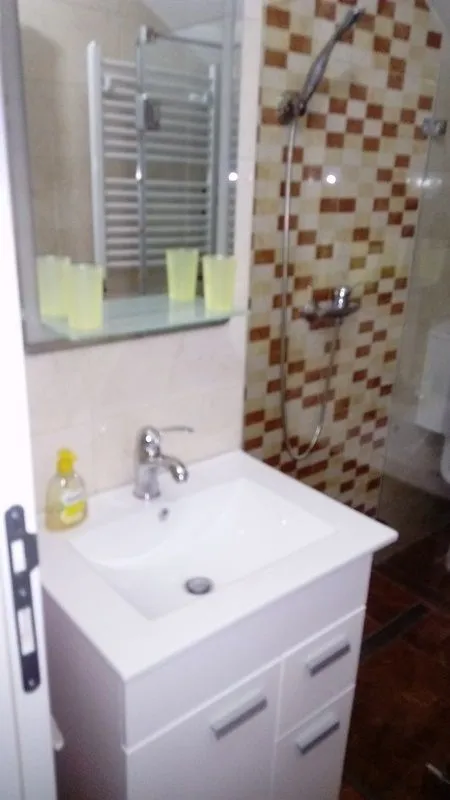Izdavanje, dvosoban stan, 49m², Dedinje Sve Podlokacije, Beograd