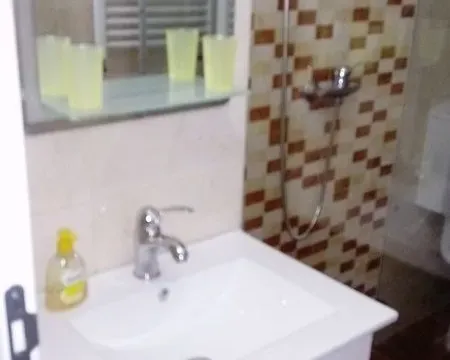 Izdavanje, dvosoban stan, 49m², Dedinje Sve Podlokacije, Beograd - image 4