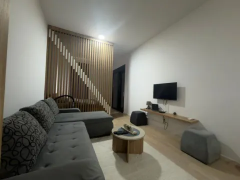 Izdavanje, garsonjera, 40m², Soho City, Bar - image 3