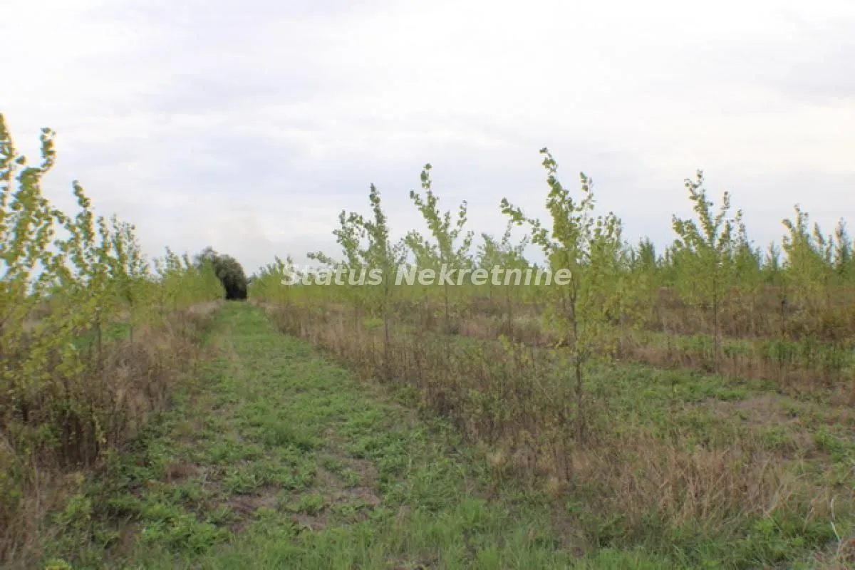 Prodaja, plac, 1378m², Zrenjanin, Srbija