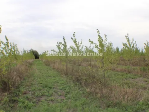 Prodaja, plac, 1378m², Zrenjanin, Srbija - image 52