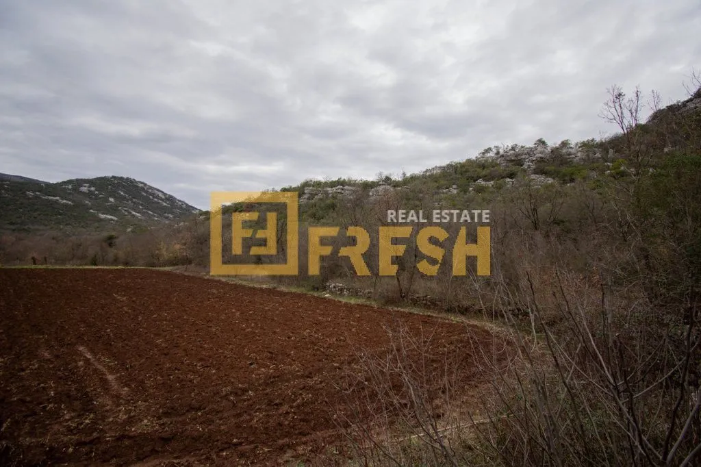 Prodaja, plac, 1566m², Ostalo, Podgorica