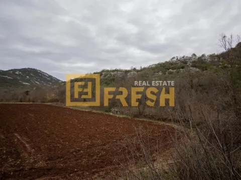 Prodaja, plac, 1566m², Ostalo, Podgorica - image 5