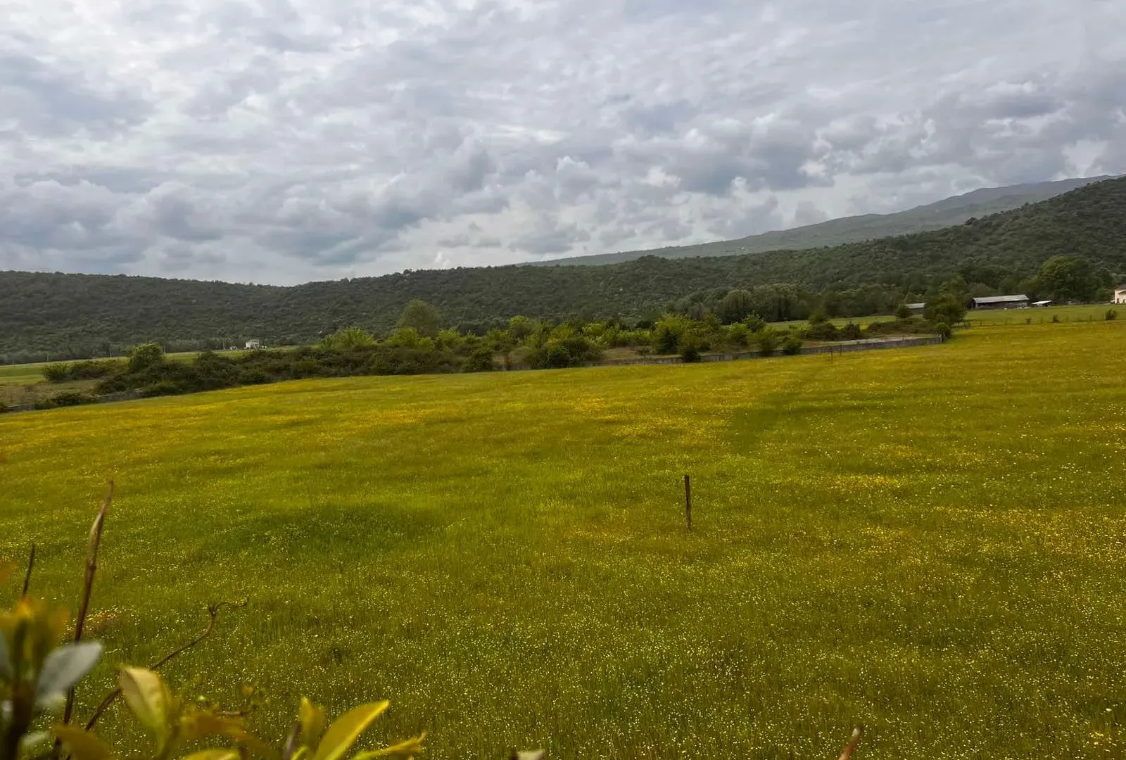 Prodaja, plac, 1982m², Danilovgrad, Crna Gora