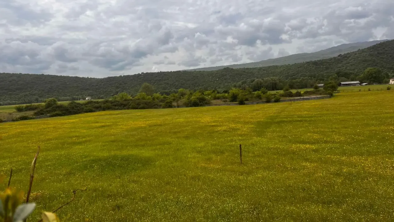 Sale, land lot, 1982m², Danilovgrad, Crna Gora