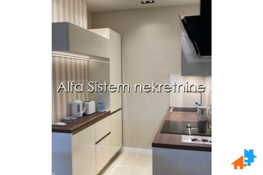 Izdavanje, dvosoban stan, 50m², Novi Beograd Blok 67, Novi Beograd Sve Podlokacije