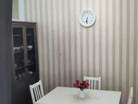 Izdavanje, trosoban stan, 55m², Vračar Hram, Vračar Sve Podlokacije - image 7