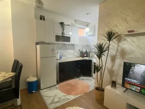 Izdavanje, stan, 42m², Zabjelo, Podgorica - image 10