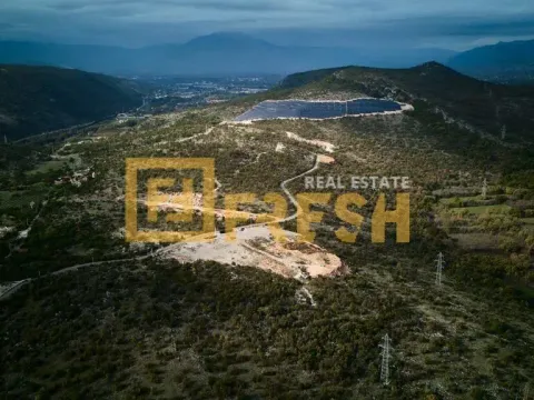 Prodaja, plac, 70000m², Ostalo, Podgorica - image 3