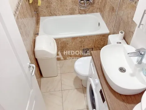 Izdavanje, stan, 25m², Čukarica, Beograd - image 5