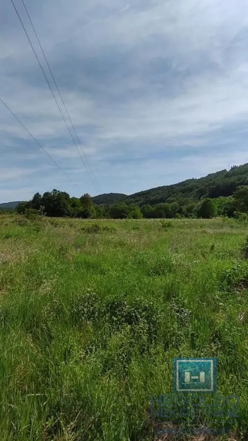Prodaja, plac, 216600m², Resavica (varošica), Despotovac