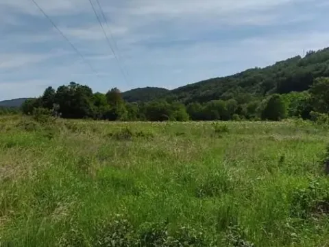 Prodaja, plac, 2166m², Resavica (varošica), Despotovac - image 13