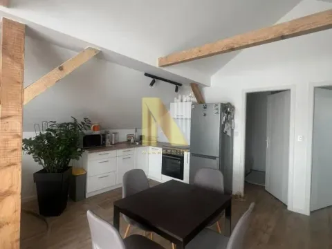 Izdavanje, kuća, 50m², Telep, Novi Sad Sve Podlokacije - image 4