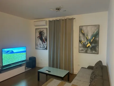 Izdavanje, jednosoban stan, 48m², Zabjelo, Podgorica - image 5