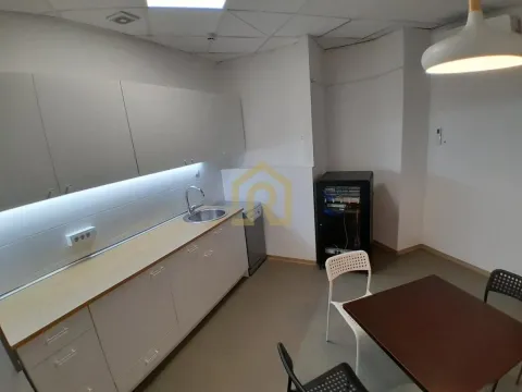 Izdavanje, poslovni prostor, 427m², Vračar Hram, Vračar Sve Podlokacije - image 11