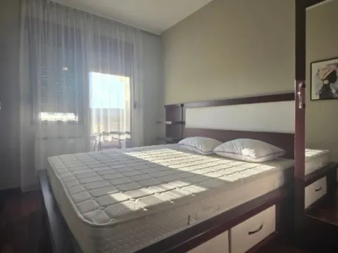 Izdavanje, jednosoban stan, 55m², Preko Morače, Podgorica - image 11